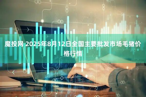 魔投网 2025年8月12日全国主要批发市场毛猪价格行情