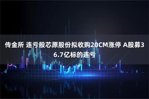 传金所 连亏股芯原股份拟收购20CM涨停 A股募36.7亿标的连亏
