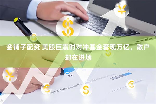 金铺子配资 美股巨震时对冲基金套现万亿，散户却在进场