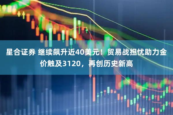 星合证券 继续飙升近40美元！贸易战担忧助力金价触及3120，再创历史新高